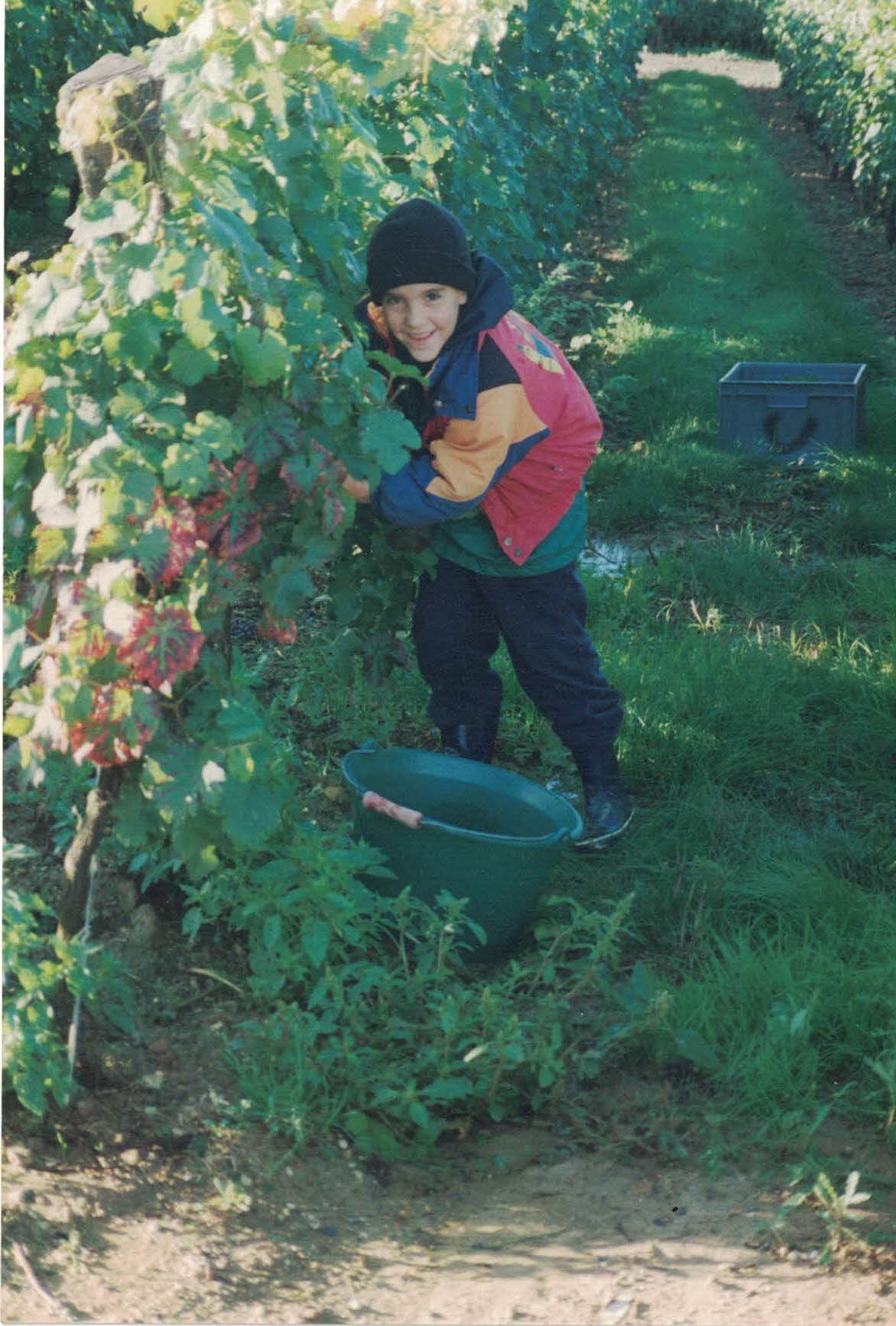 Pierre Adrien petit dans les vignes - Domaine Vadé Saumur