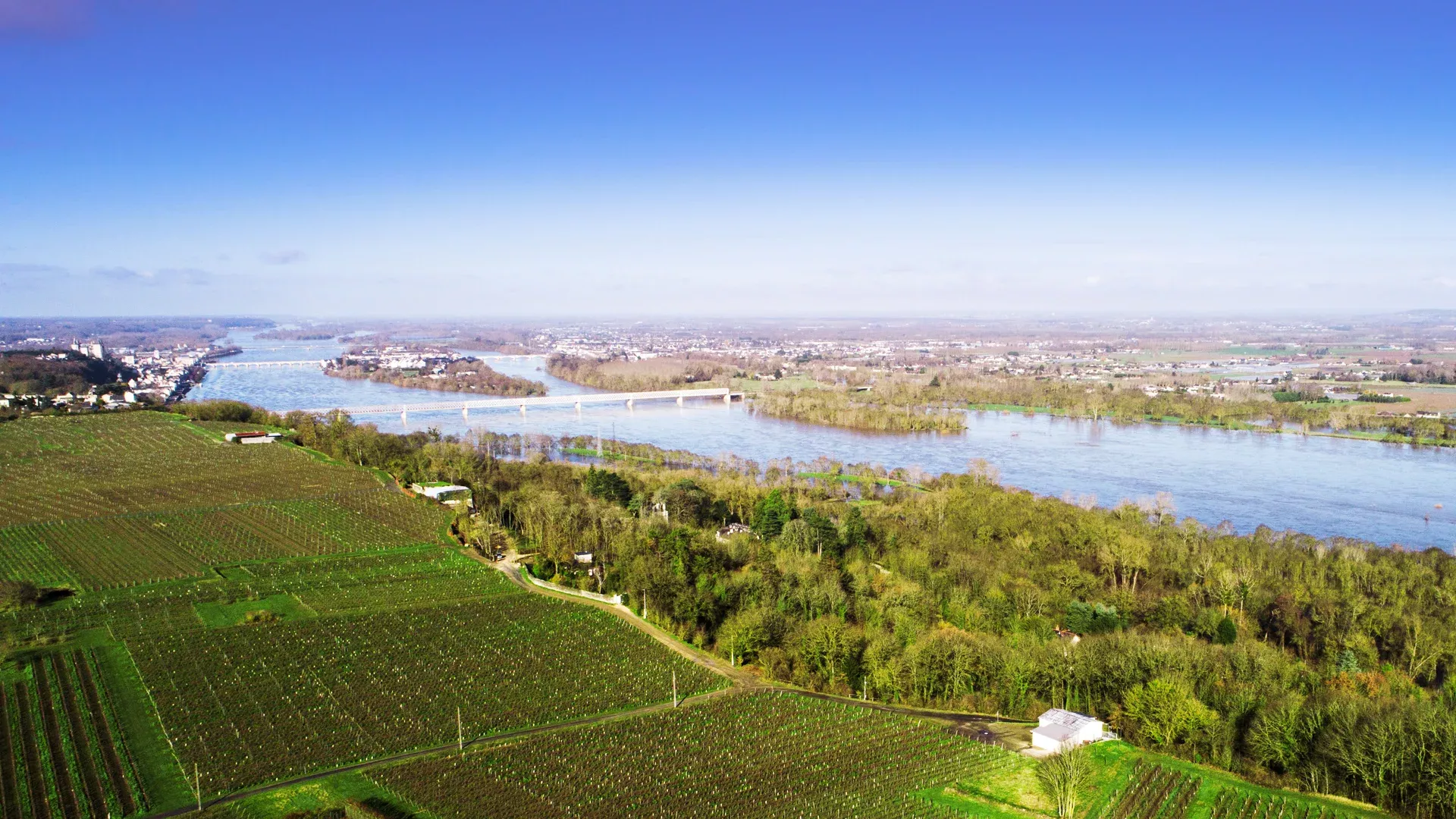 Vue drone des vignes du Domaine Vadé à Saumur par temps clair