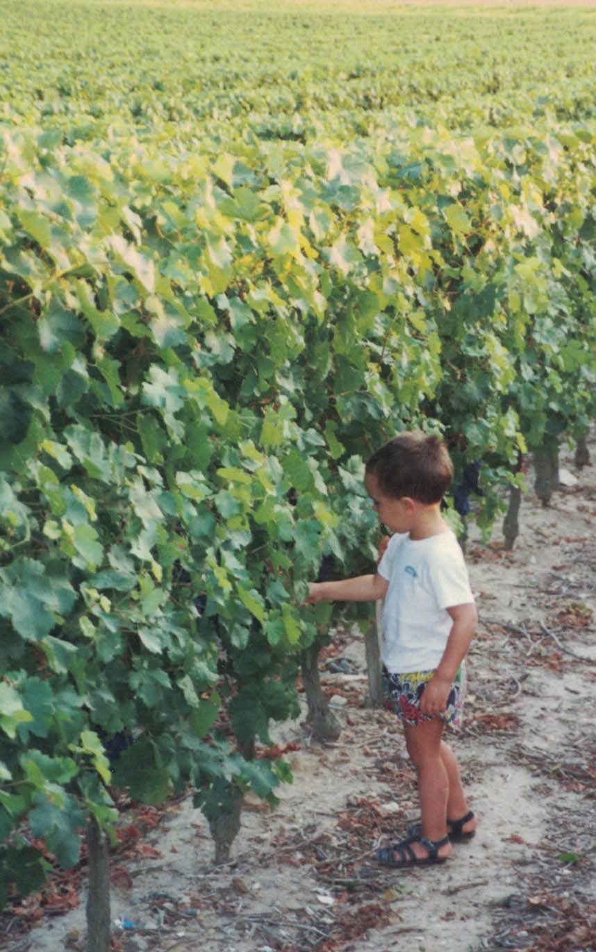 Pierre Adrien petit, dans les vignes